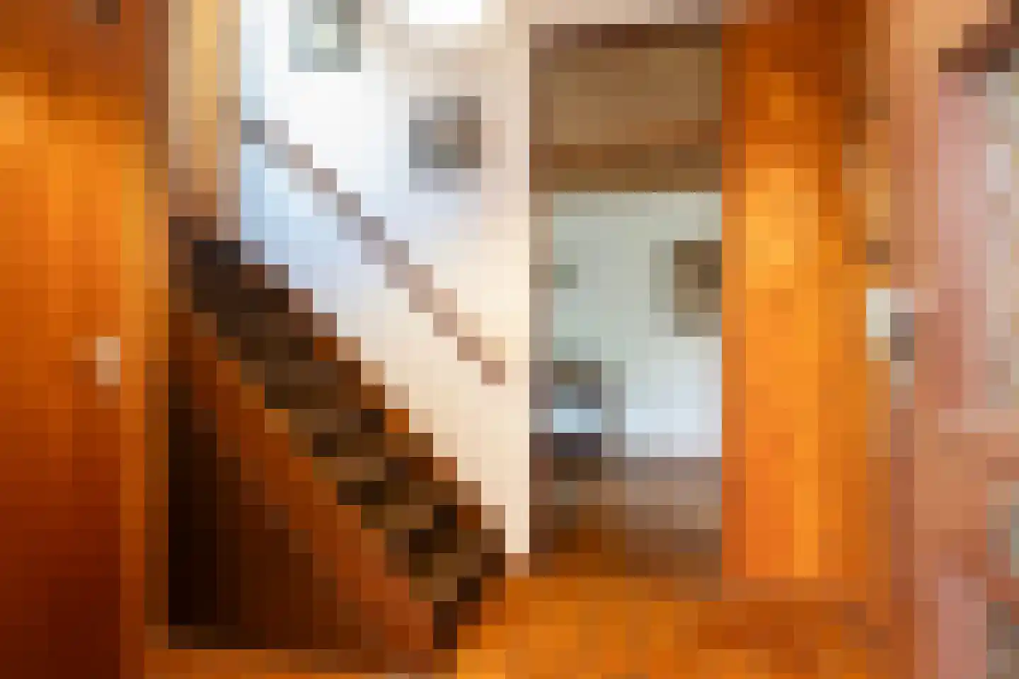 Nynke van Hichtumwei 60 Leeuwarden thumbnail 7