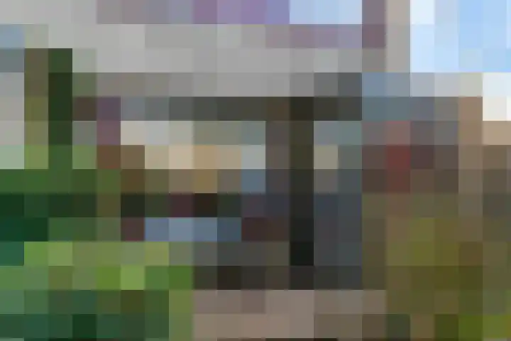 Nynke van Hichtumwei 78 Leeuwarden thumbnail 12