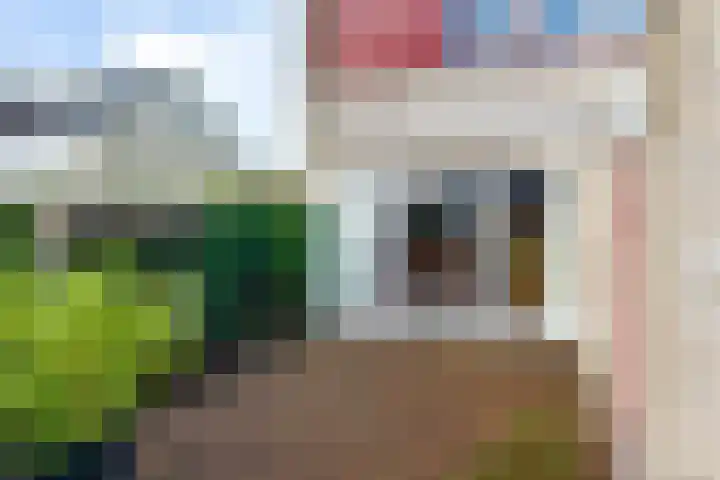 Nynke van Hichtumwei 78 Leeuwarden thumbnail 27