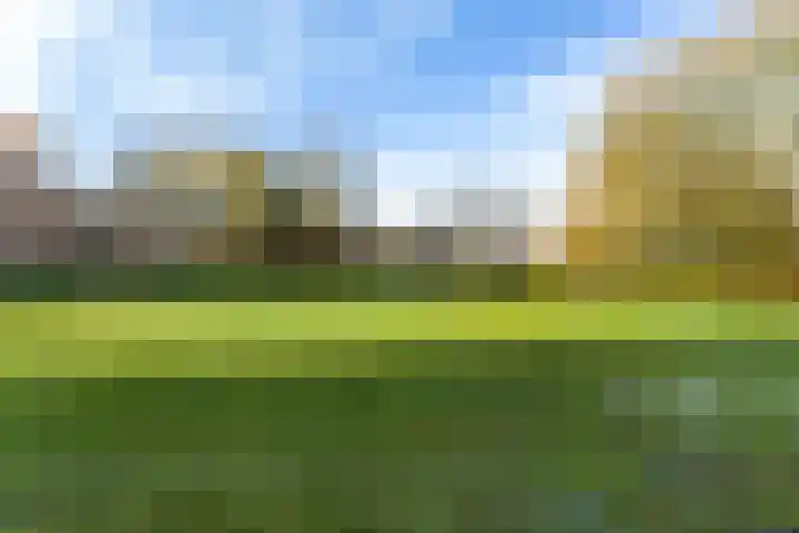 Nynke van Hichtumwei 78 Leeuwarden thumbnail 46