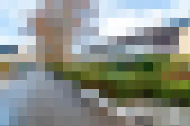 Nynke van Hichtumwei 78 Leeuwarden thumbnail 8