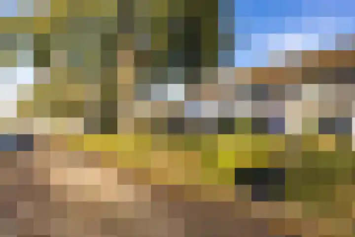Nynke van Hichtumwei 88 Leeuwarden thumbnail 7