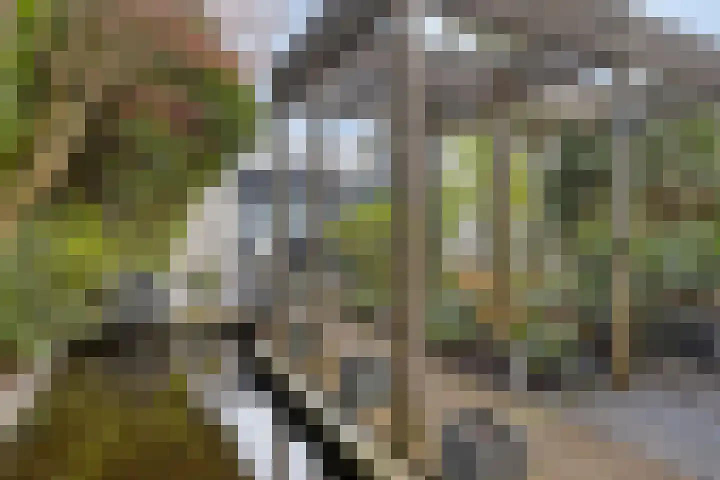 Nystadstraat 4 Rotterdam thumbnail 34