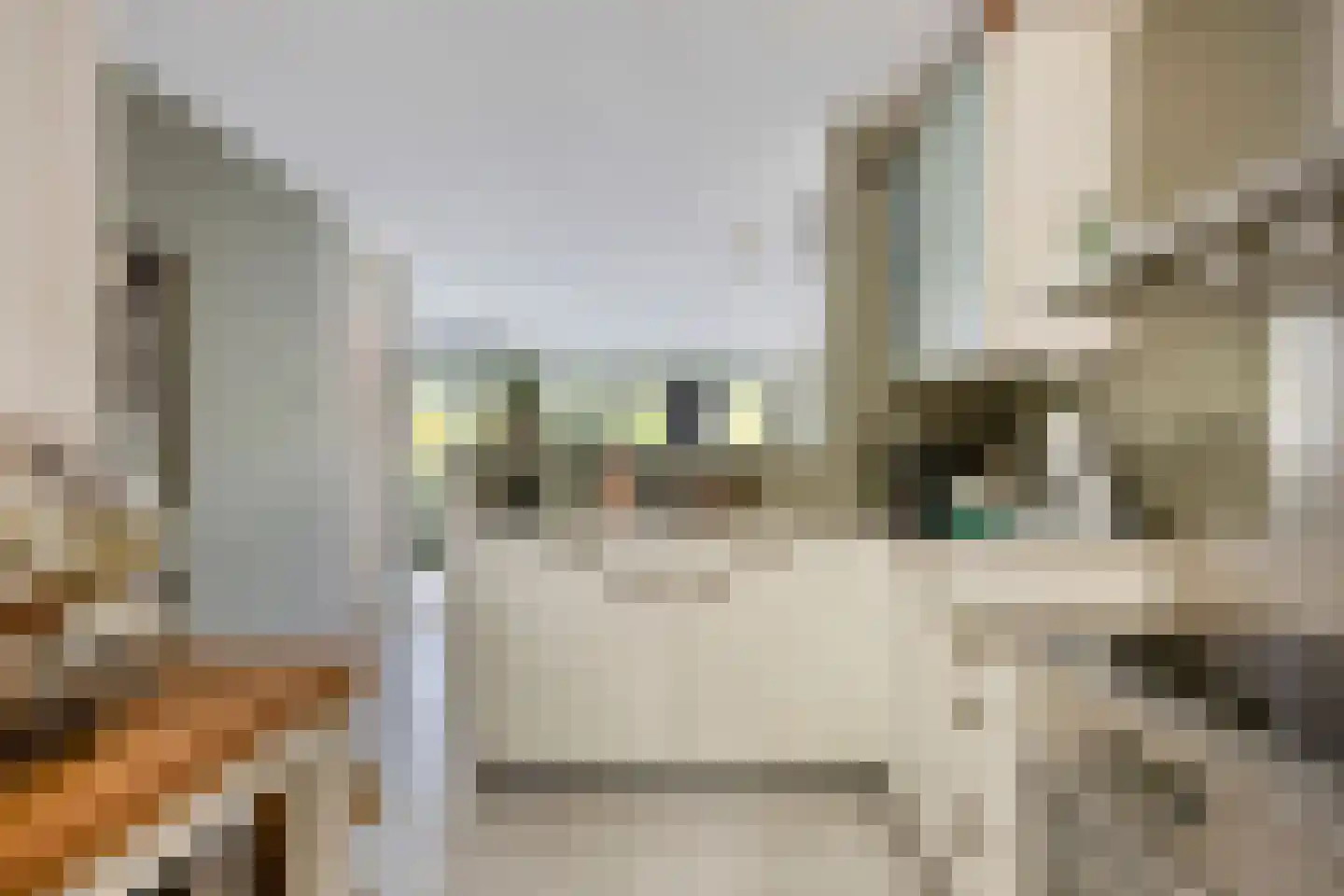 Nystadstraat 70 Rotterdam thumbnail 14