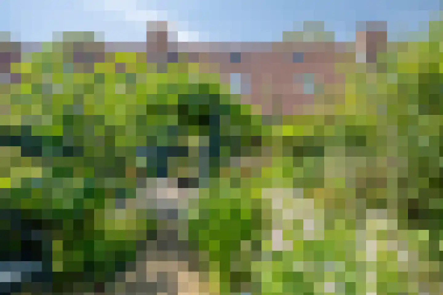Nystadstraat 70 Rotterdam thumbnail 39