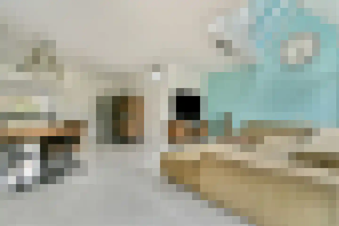 Nystadstraat 74 Rotterdam thumbnail 12