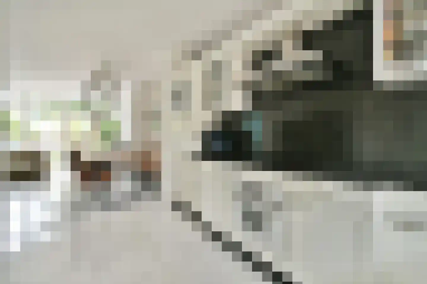 Nystadstraat 74 Rotterdam thumbnail 18