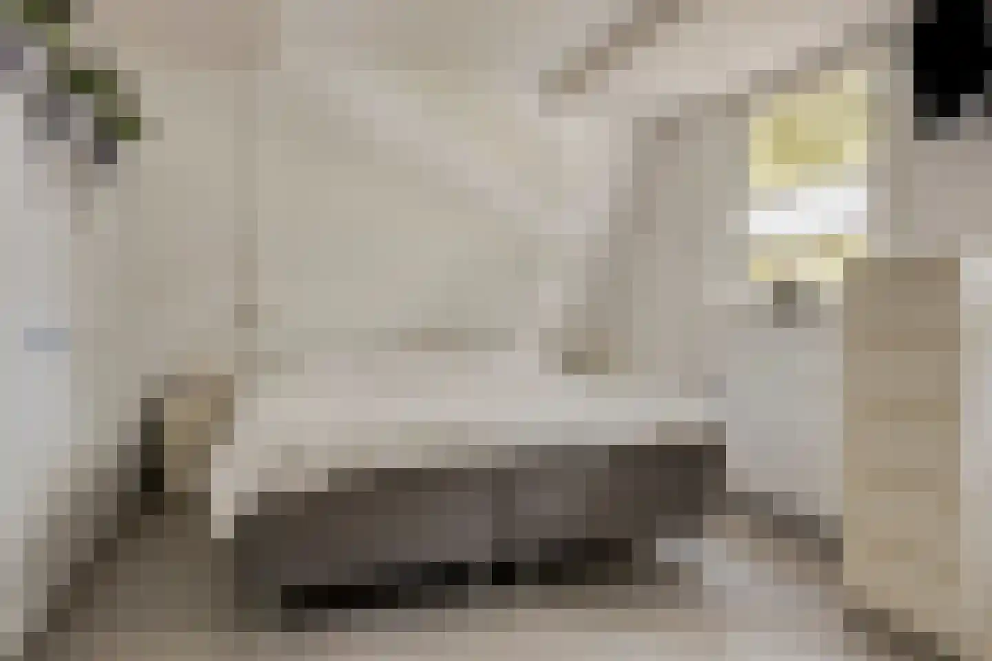 Nyswillerpad 27 Rotterdam thumbnail 18