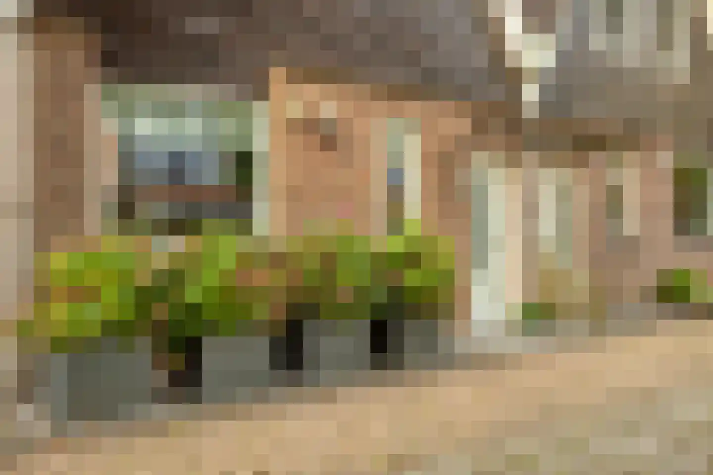 Nyswillerpad 27 Rotterdam thumbnail 33