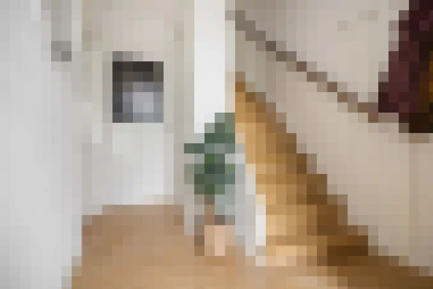 O.C. Huismanstraat 38 Nijmegen thumbnail 12