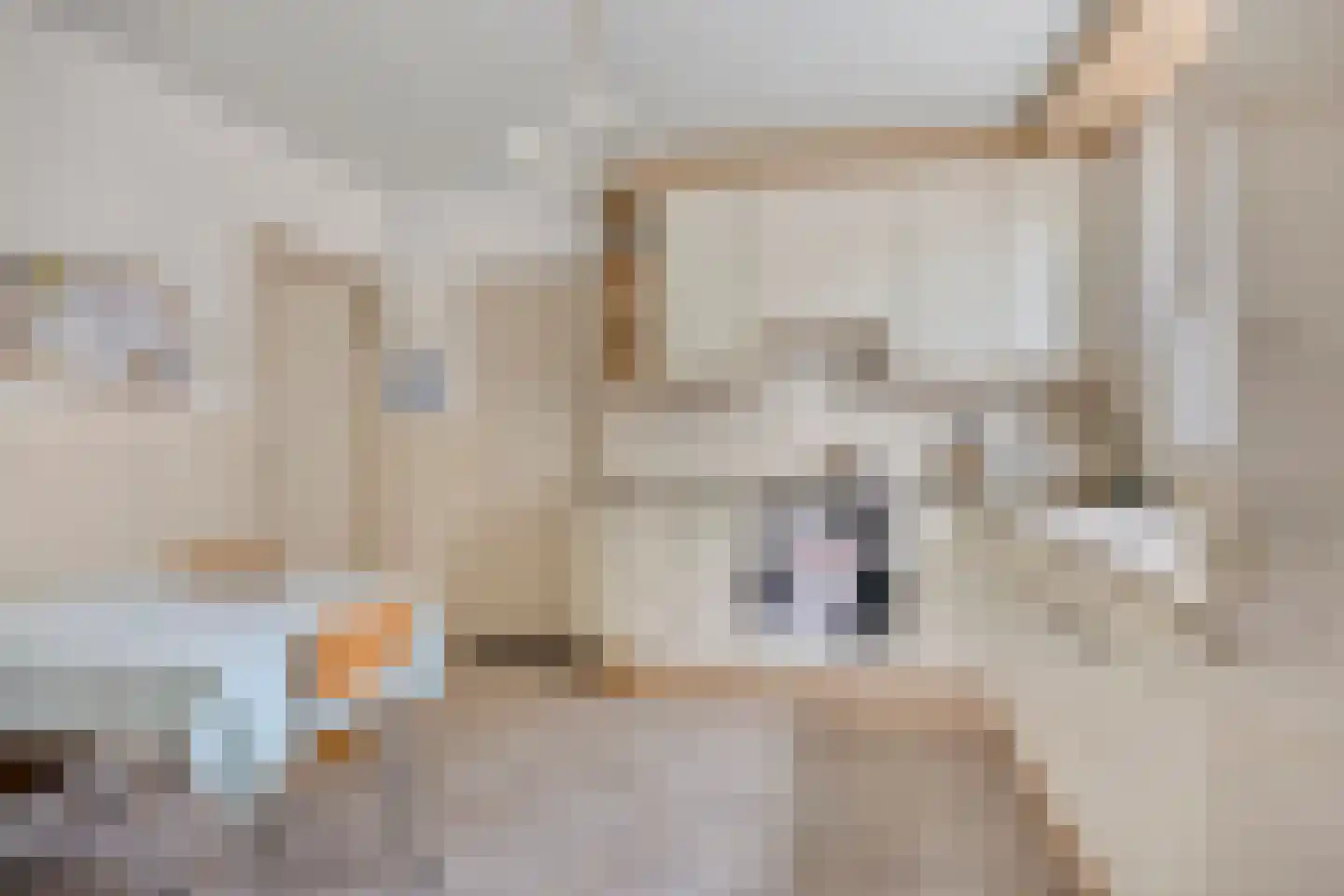 O.-L.-Vrouwestraat 16 Handel thumbnail 7