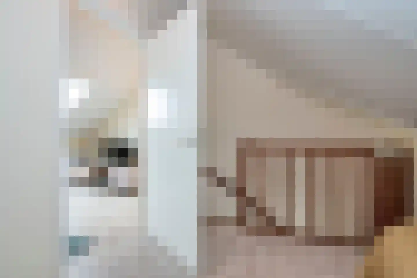 O.L. Vrouwestraat 6 b Bentelo thumbnail 27