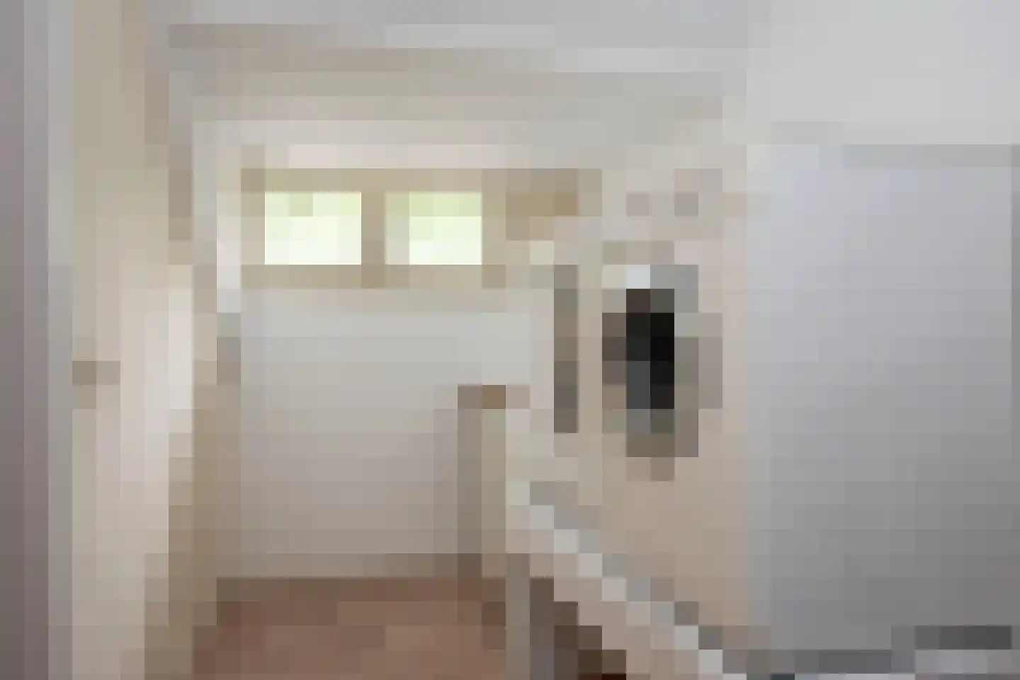 O.L. Vrouwestraat 6 b Bentelo thumbnail 29
