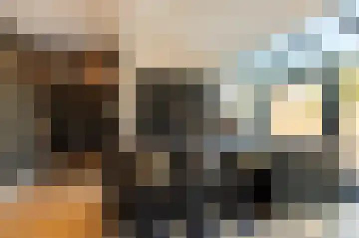 O Lv Vrouw ter Duinenln 105 Ossendrecht thumbnail 11
