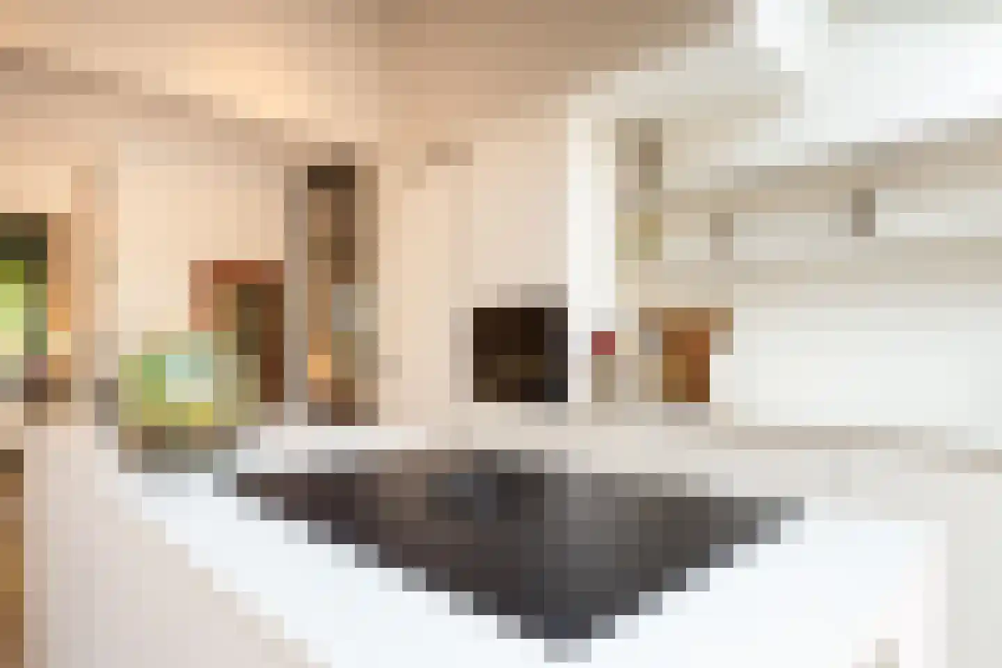 O Lv Vrouw ter Duinenln 105 Ossendrecht thumbnail 12