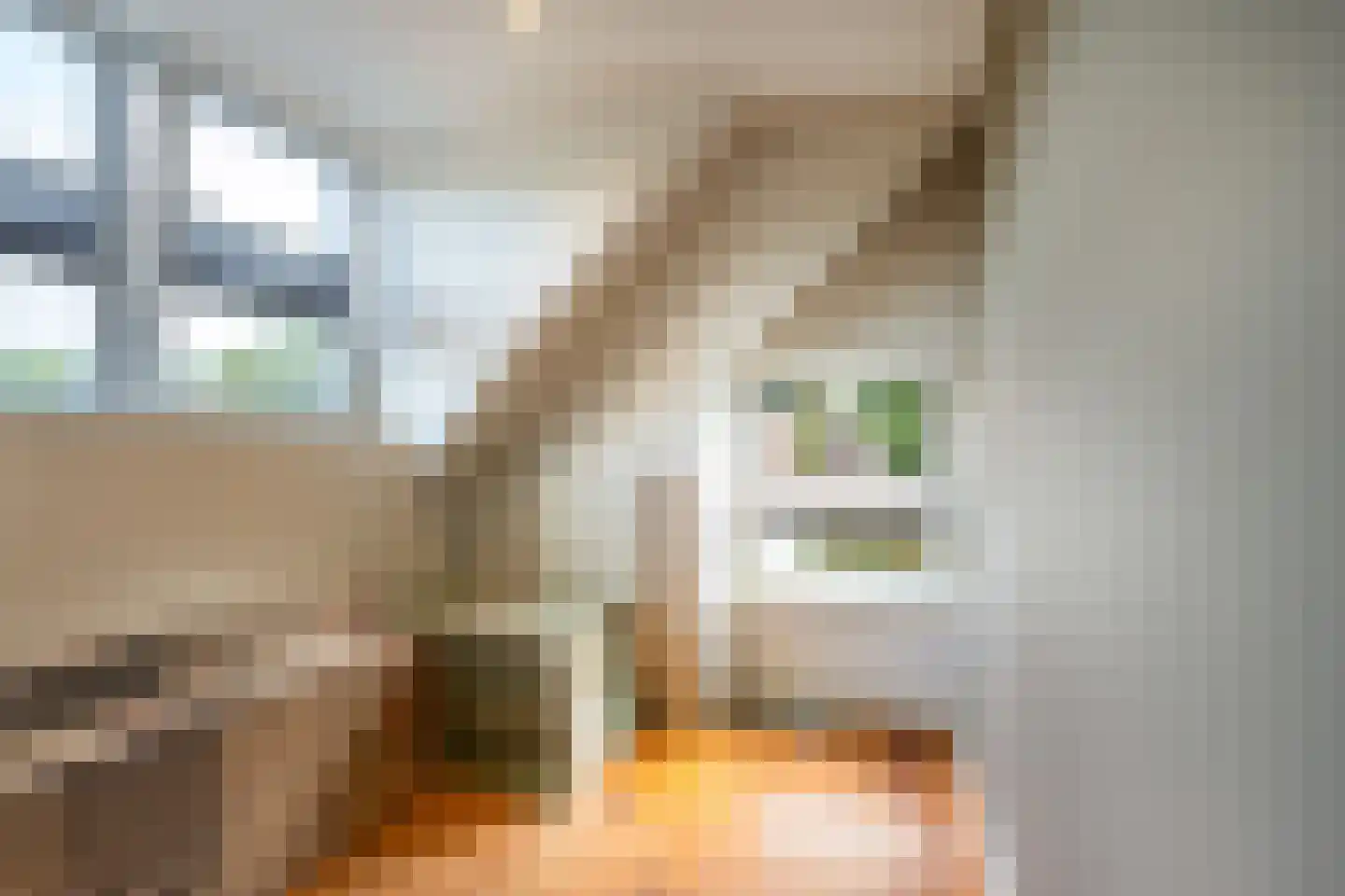 O Lv Vrouw ter Duinenln 105 Ossendrecht thumbnail 33