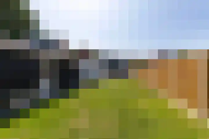 O Lv Vrouw ter Duinenln 105 Ossendrecht thumbnail 39
