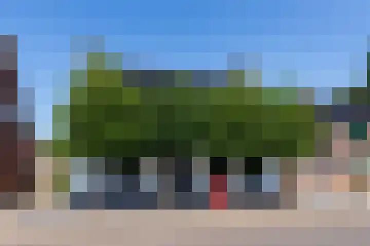 O Lv Vrouw ter Duinenln 105 Ossendrecht thumbnail 44