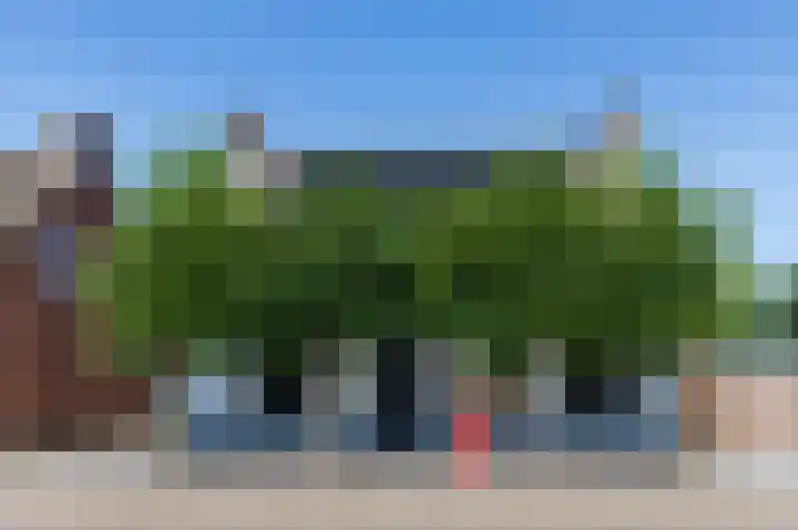 O Lv Vrouw ter Duinenln 105 Ossendrecht thumbnail 45