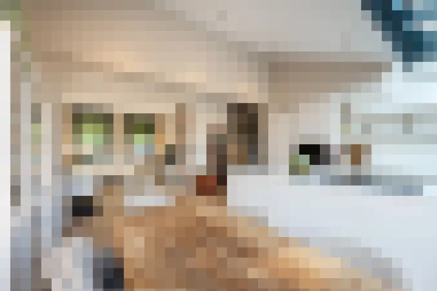 O Lv Vrouw ter Duinenln 105 Ossendrecht thumbnail 7