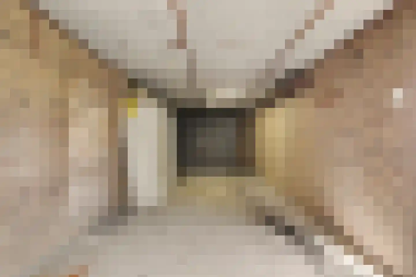 O Lv Vrouw ter Duinenln 42 Ossendrecht thumbnail 31