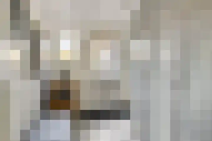 O Lv Vrouw ter Duinenln 67 Ossendrecht thumbnail 19