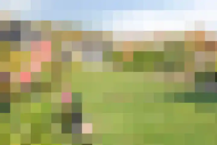 O Lv Vrouw ter Duinenln 67 Ossendrecht thumbnail 31
