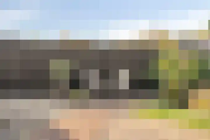 O Lv Vrouw ter Duinenln 67 Ossendrecht thumbnail 33
