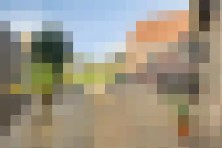O Lv Vrouw ter Duinenln 67 Ossendrecht thumbnail 34