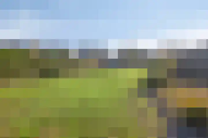 O Lv Vrouw ter Duinenln 67 Ossendrecht thumbnail 45