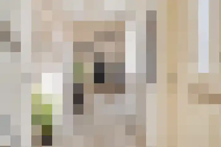 O Lv Vrouw ter Duinenln 67 Ossendrecht thumbnail 8