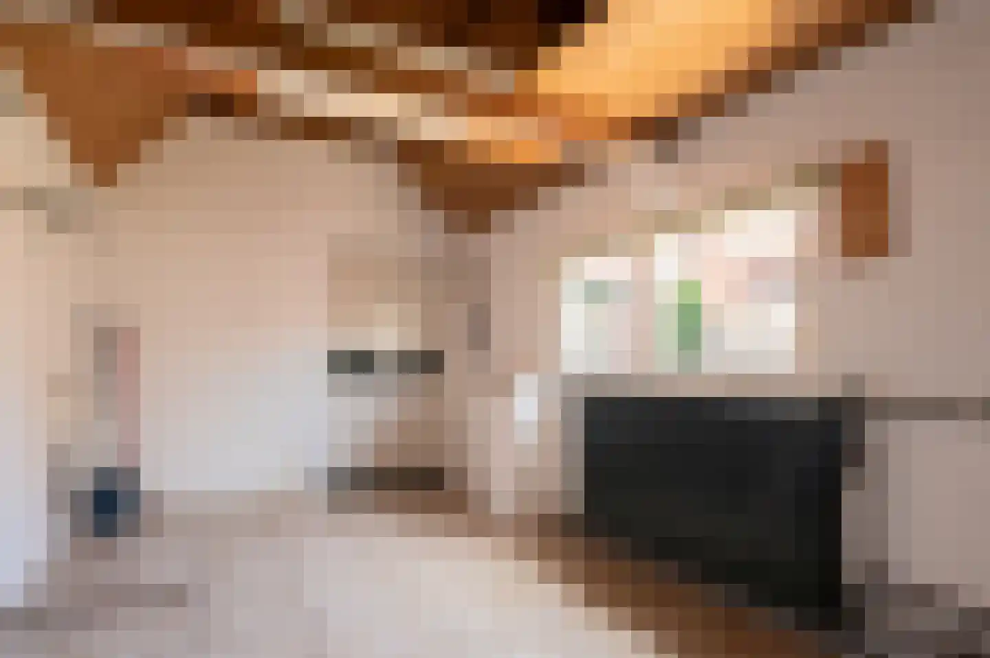 O Lv Vrouw ter Duinenln 79 Ossendrecht thumbnail 39
