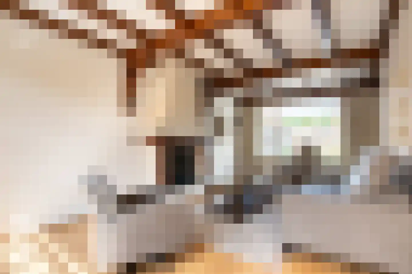 O Lv Vrouw ter Duinenln 79 Ossendrecht thumbnail 7