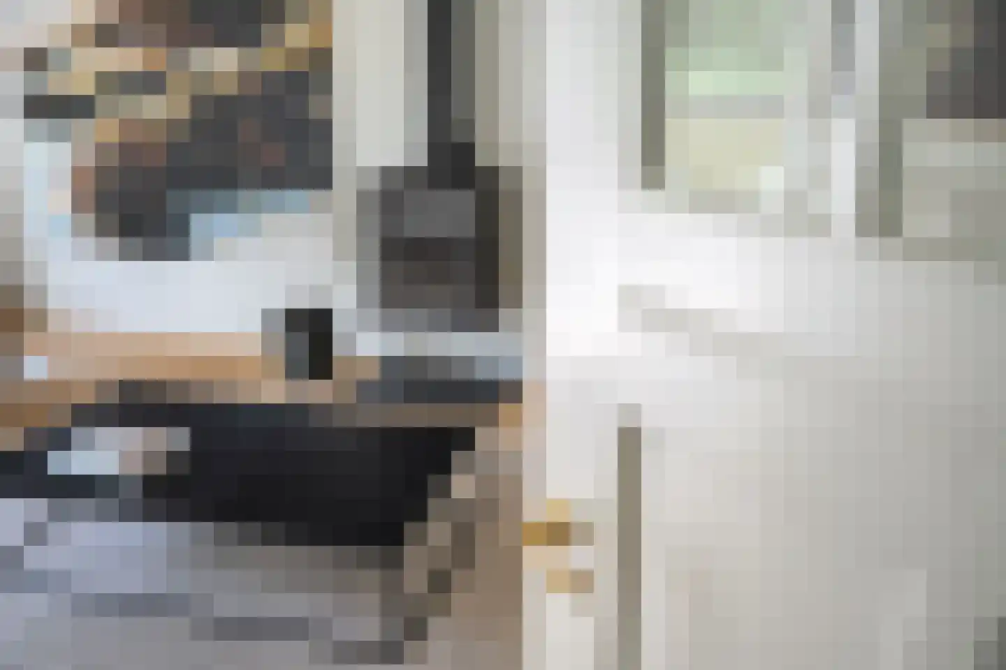 Oan 'e Ie 6 a Snakkerburen thumbnail 28