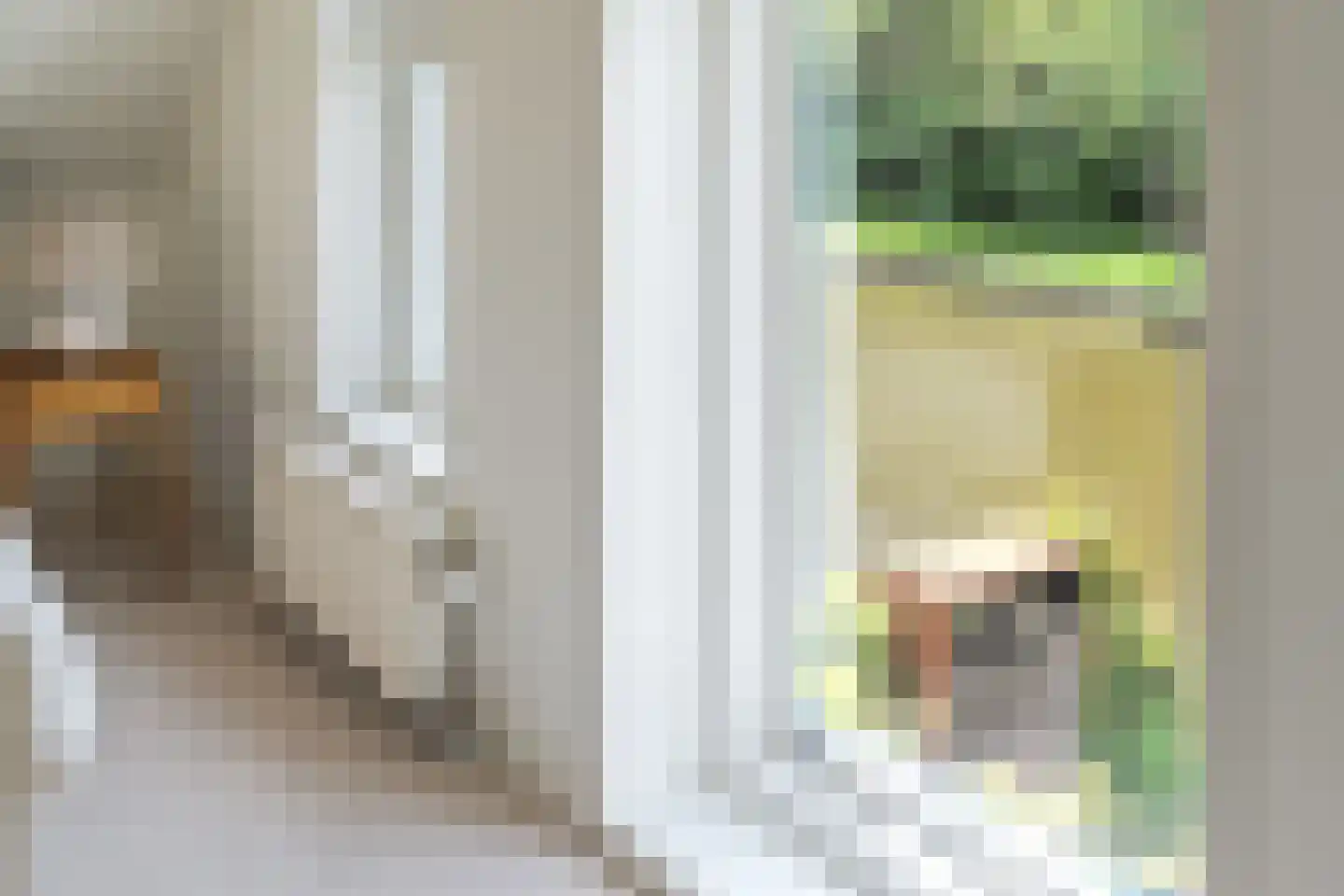 Oan 'e Ie 6 a Snakkerburen thumbnail 45