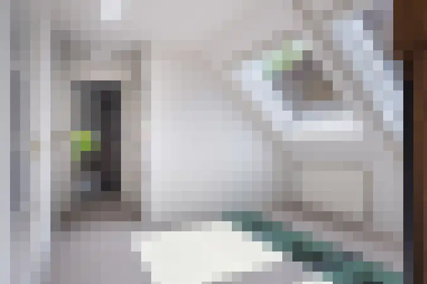 Oan 'e Ie 6 a Snakkerburen thumbnail 46