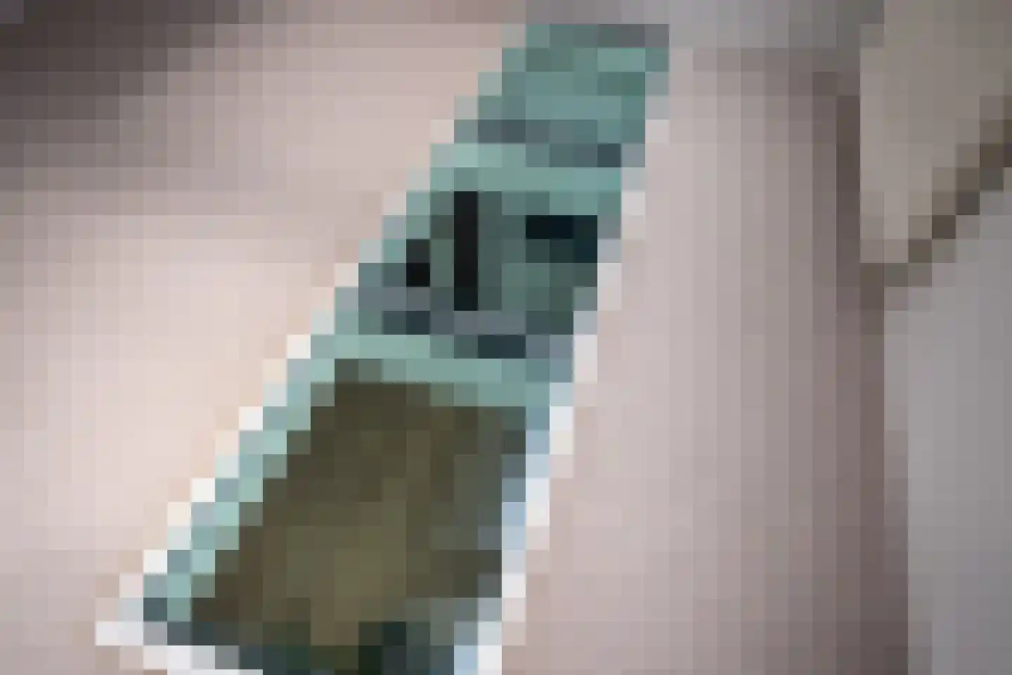 Oan 'e Ie 6 a Snakkerburen thumbnail 47