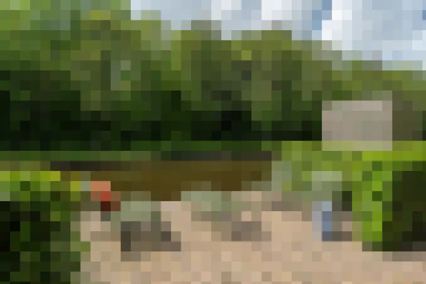 Oan 'e Ie 6 a Snakkerburen thumbnail 5