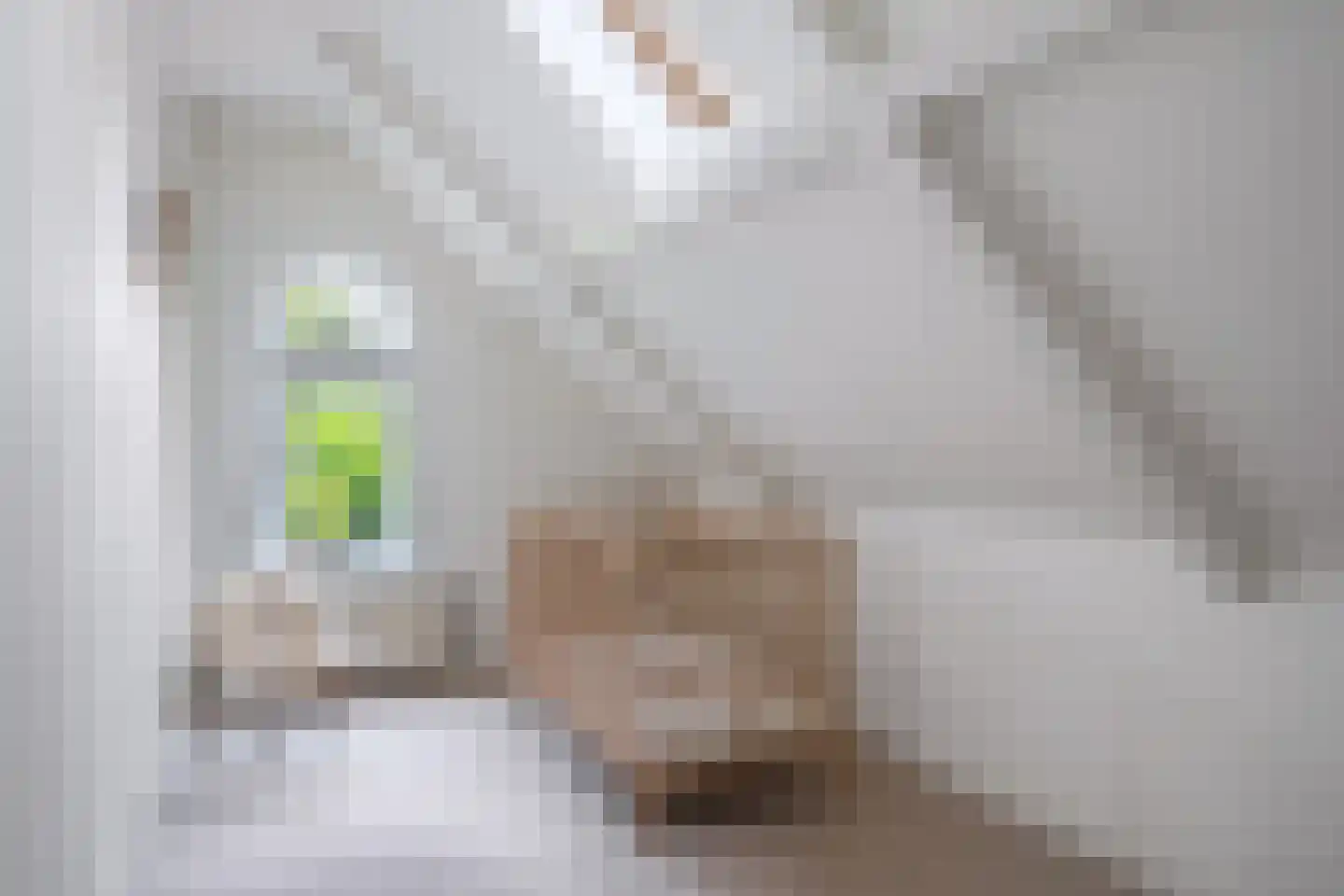 Oan 'e Ie 6 a Snakkerburen thumbnail 51