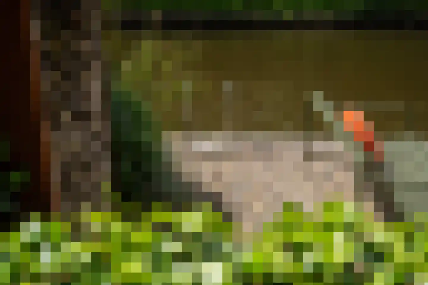 Oan 'e Ie 6 a Snakkerburen thumbnail 61