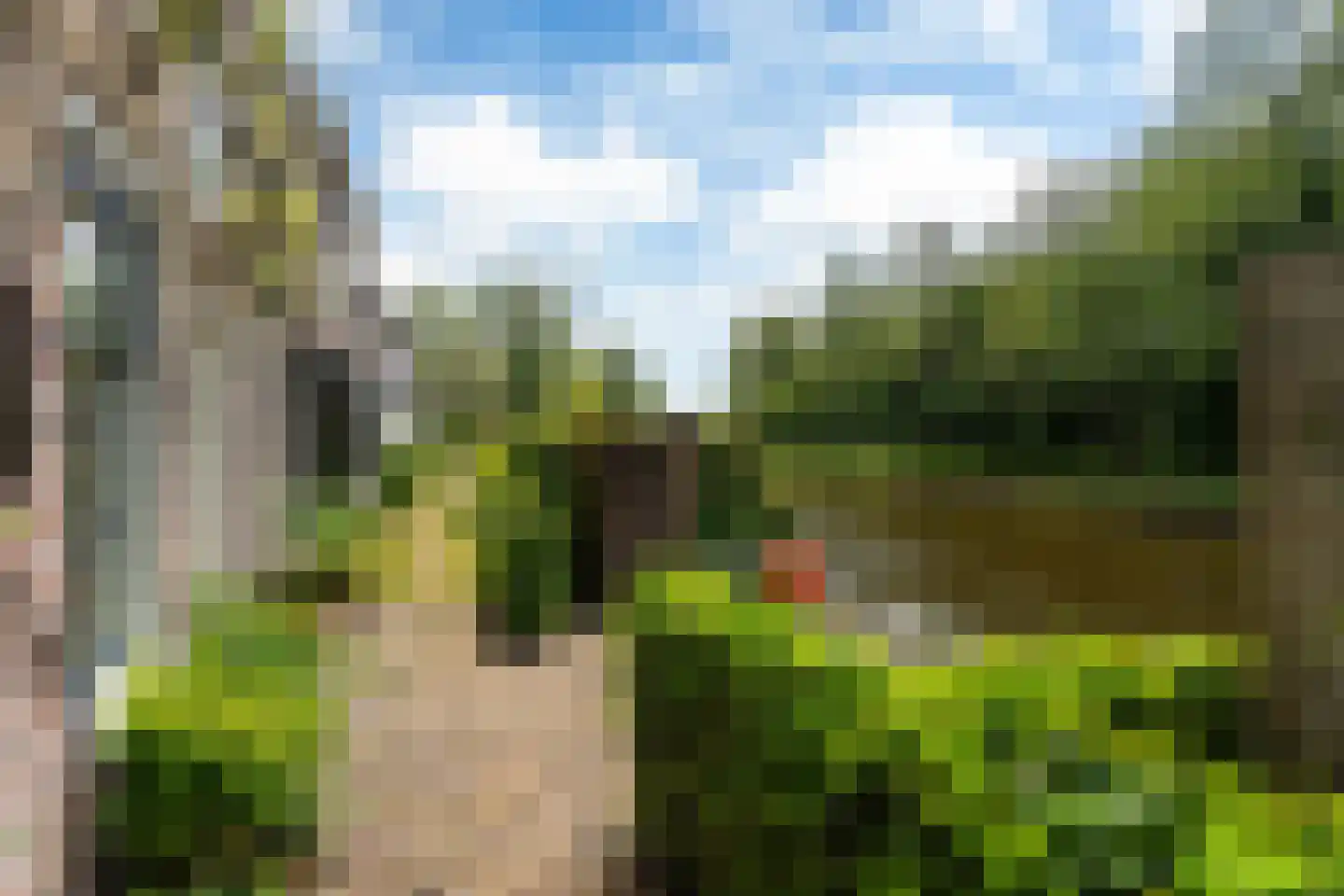 Oan 'e Ie 6 a Snakkerburen thumbnail 62