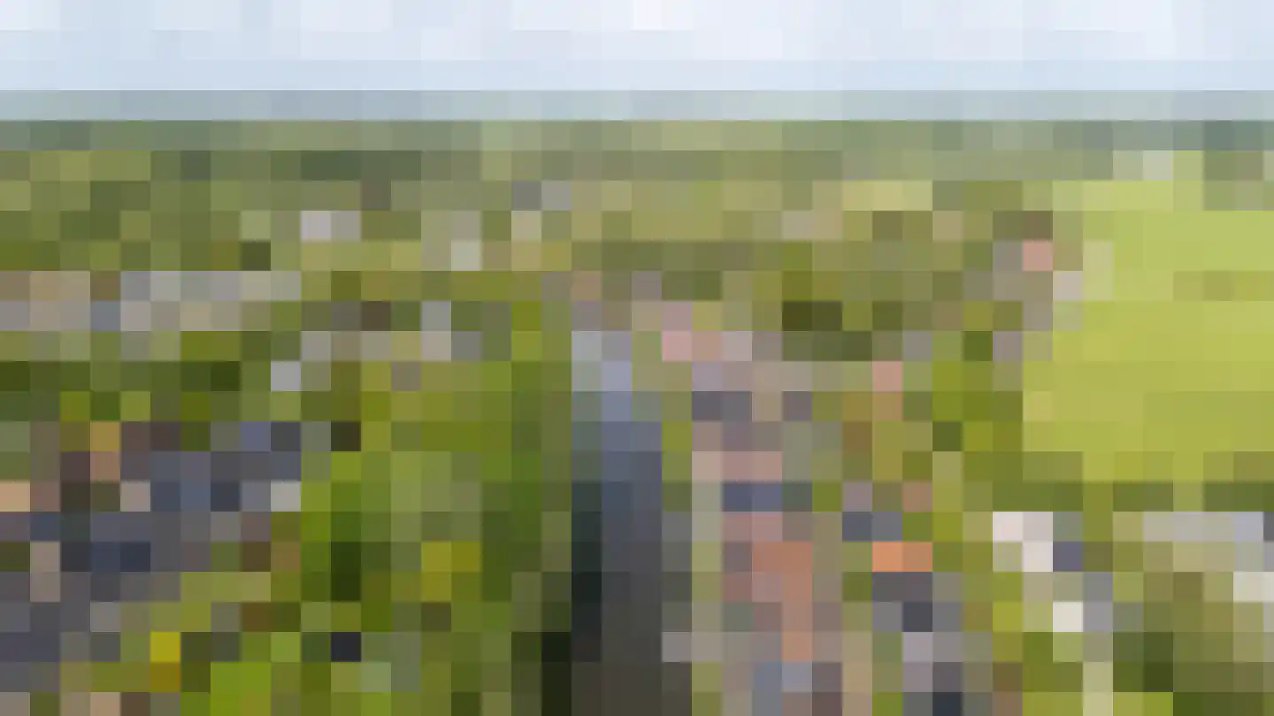 Oan 'e Ie 6 a Snakkerburen thumbnail 66