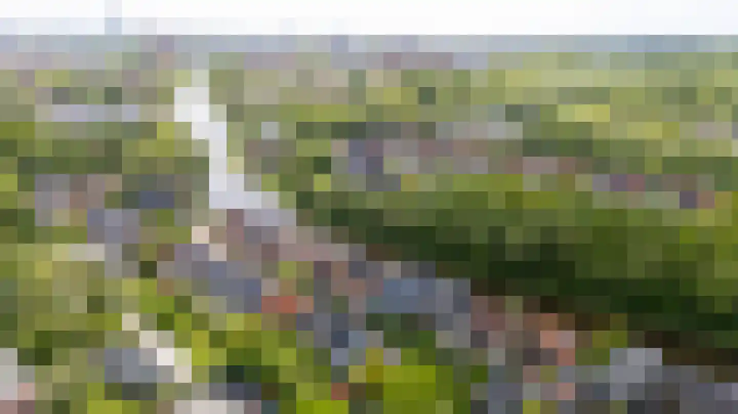 Oan 'e Ie 6 a Snakkerburen thumbnail 67