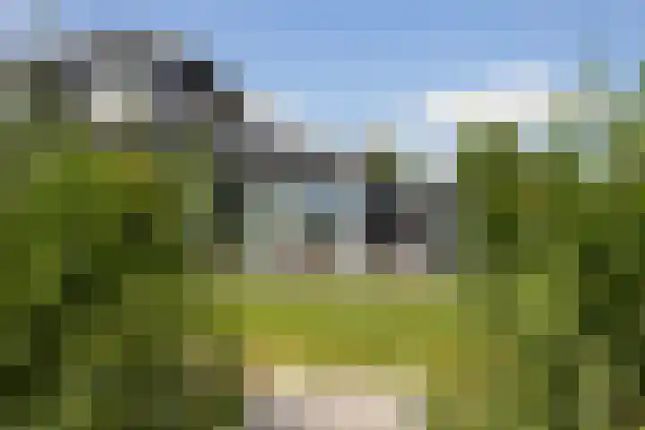 Oan'e Poel 10 Terherne thumbnail 11