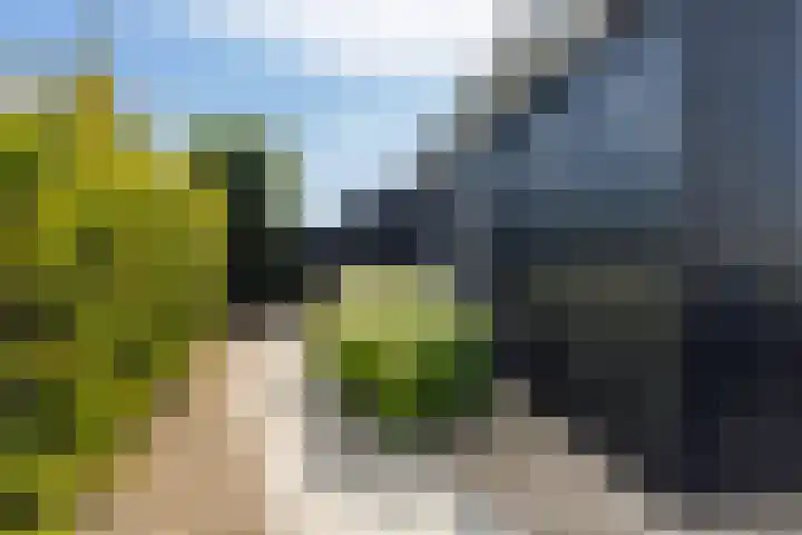 Oan'e Poel 10 Terherne thumbnail 17
