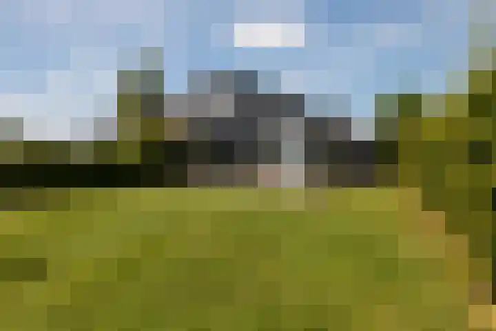 Oan'e Poel 10 Terherne thumbnail 37