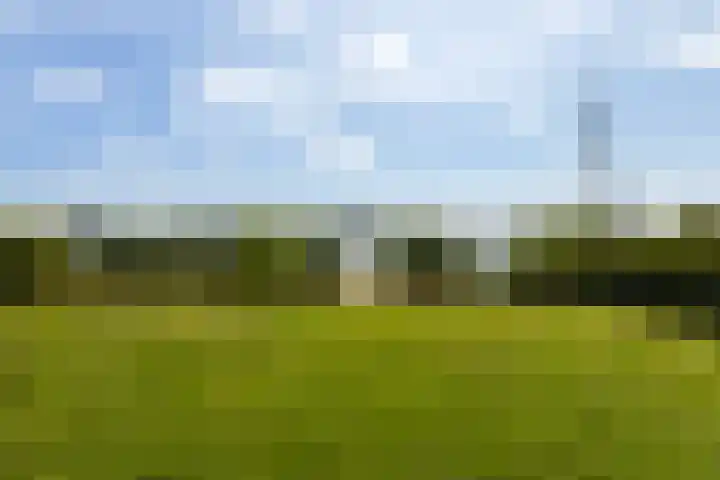 Oan'e Poel 10 Terherne thumbnail 39