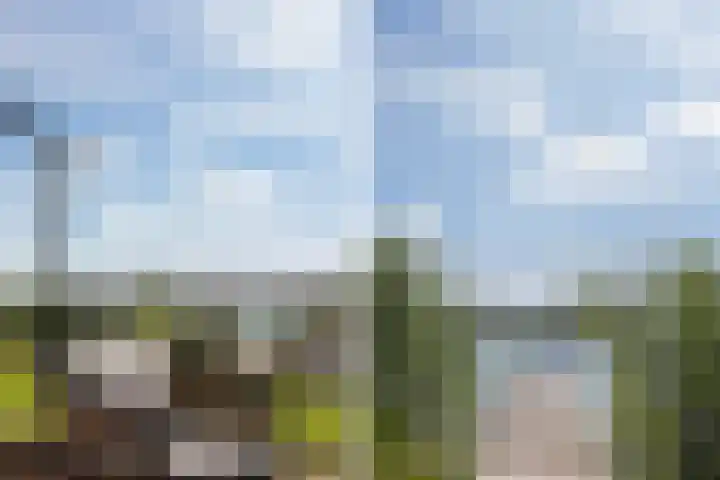 Oan'e Poel 10 Terherne thumbnail 40