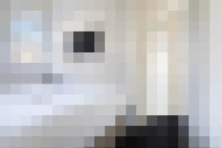 Oan'e Poel 10 Terherne thumbnail 43