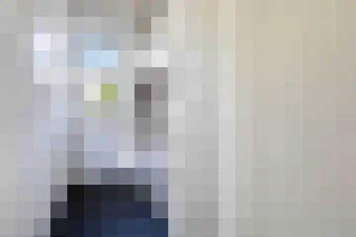 Oan'e Poel 10 Terherne thumbnail 44